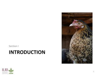 From Not-Want to Waste-Not: cassava peels as product