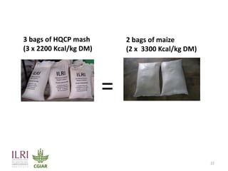 From Not-Want to Waste-Not: cassava peels as product