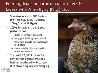 From Not-Want to Waste-Not: cassava peels as product