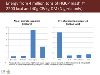 From Not-Want to Waste-Not: cassava peels as product