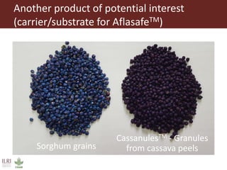 From Not-Want to Waste-Not: cassava peels as product