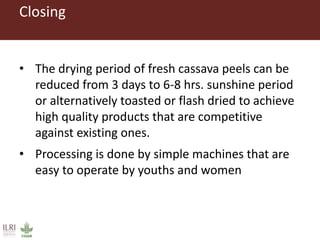 From Not-Want to Waste-Not: cassava peels as product
