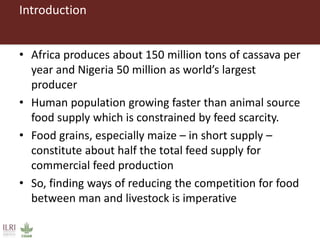 From Not-Want to Waste-Not: cassava peels as product