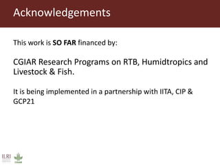 From Not-Want to Waste-Not: cassava peels as product