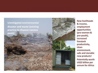 From Not-Want to Waste-Not: cassava peels as product