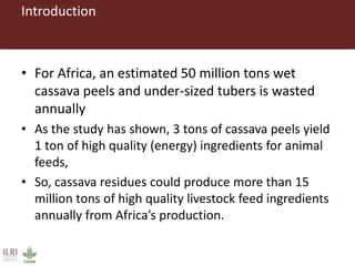 From Not-Want to Waste-Not: cassava peels as product