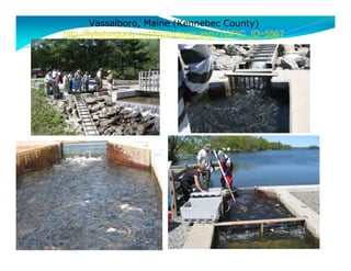 Vassalboro, Maine (Kennebec County) 
http://flyfishingonly.net/forum/topic.asp?TOPIC_ID=5967 
 