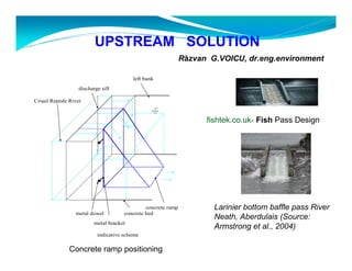 UPSTREAM SOLUTION 
fishtek.co.uk- Fish Pass Design 
Larinier bottom baffle pass River 
Neath, Aberdulais (Source: 
Armstrong et al., 2004) 
left bank 
discharge sill 
concrete ramp 
metal dowel concrete bed 
metal bracket 
indicative scheme 
Crisul Repede River 
Concrete ramp positioning 
Răzvan G.VOICU, dr.eng.environment 
 