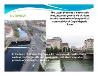 OVERVIEW 
The paper presents a case study 
that proposes practical solutions 
for the restoration of longitudinal 
connectivity of Crisul Repede 
River 
In the town of Oradea there are a lot transversal constructions 
such as discharge sills and small dams, that stops migration 
process of various fish species. 
 