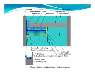 left bank right bank 
resistant rubber canal discharge sill 
module M2 module M1 watercourse 
bascule for redirecting 
fish towards the rubber canal 
metal grill 
left bank metal grid fence 
fish redirecting system (electromagnetic field) 
rubber canal 
discharge sill 
Figure 2 Rubber canal positioning – indicative scheme 
 
