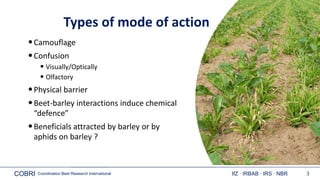 COBRI Coordination Beet Research International IfZ ∙ IRBAB ∙ IRS ∙ NBR 3
Types of mode of action
•Camouflage
•Confusion
• ...