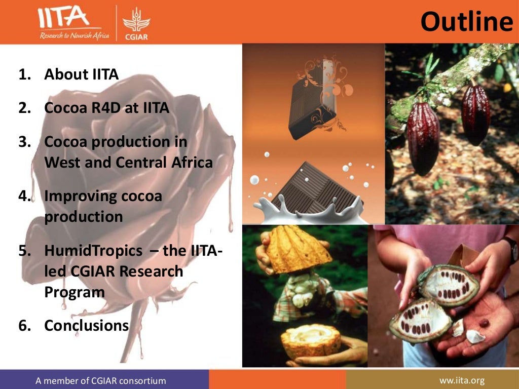 Sustaining Cocoa Production through Research for development IITA's