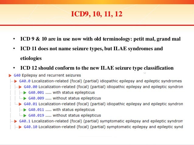 Presentation Illustrating The 2017 Classification Of Seizure Types 1