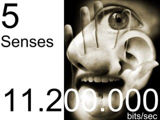 5
Senses



11.200.000
         bits/sec
 
