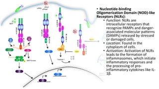 SIGNALING Through Toll LIKE RECEPTORS.pptx