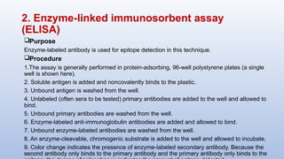 2. Enzyme-linked immunosorbent assay
(ELISA)
Purpose
Enzyme-labeled antibody is used for epitope detection in this technique.
Procedure
1.The assay is generally performed in protein-adsorbing, 96-well polystyrene plates (a single
well is shown here).
2. Soluble antigen is added and noncovalently binds to the plastic.
3. Unbound antigen is washed from the well.
4. Unlabeled (often sera to be tested) primary antibodies are added to the well and allowed to
bind.
5. Unbound primary antibodies are washed from the well.
6. Enzyme-labeled anti-immunoglobulin antibodies are added and allowed to bind.
7. Unbound enzyme-labeled antibodies are washed from the well.
8. An enzyme-cleavable, chromogenic substrate is added to the well and allowed to incubate.
9. Color change indicates the presence of enzyme-labeled secondary antibody. Because the
second antibody only binds to the primary antibody and the primary antibody only binds to the
 