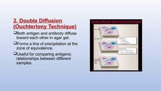 2. Double Diffusion
(Ouchterlony Technique)
Both antigen and antibody diffuse
toward each other in agar gel.
Forms a line of precipitation at the
zone of equivalence.
Useful for comparing antigenic
relationships between different
samples.
 