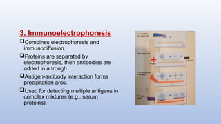 3. Immunoelectrophoresis
Combines electrophoresis and
immunodiffusion.
Proteins are separated by
electrophoresis, then antibodies are
added in a trough.
Antigen-antibody interaction forms
precipitation arcs.
Used for detecting multiple antigens in
complex mixtures (e.g., serum
proteins).
 