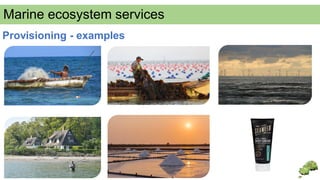 Provisioning Examples Science Presentation_Inacio_marine_ES_final: mapping for governance | PDF