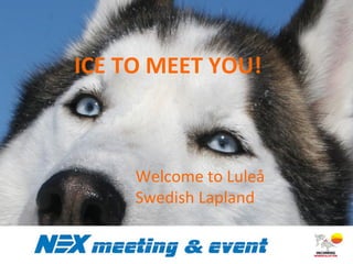 ICE TO MEET YOU!
Welcome to Luleå
Swedish Lapland
 
 