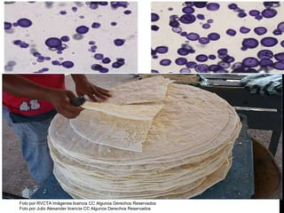 Foto por RVCTA Imágenes licencia CC Algunos Derechos Reservados
Foto por Julio Alexander licencia CC Algunos Derechos Reservados
 