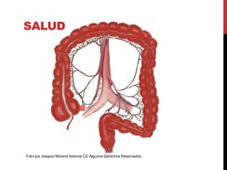 SALUD
Foto por Joaquin Moreno licencia CC Algunos Derechos Reservados
 