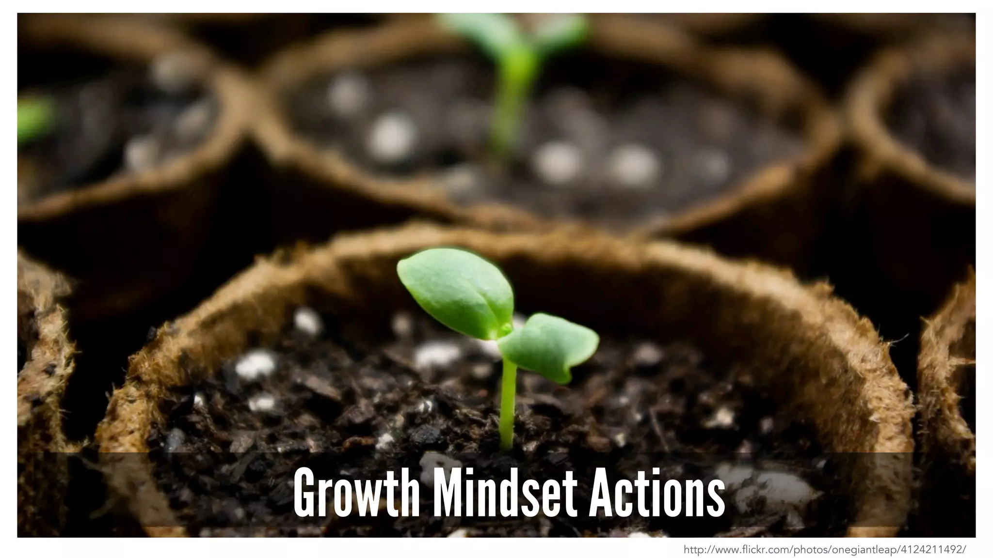 Growth Mindset Actions
http://www.flickr.com/photos/onegiantleap/4124211492/
 