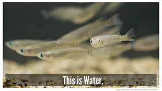 This is Water.
https://www.flickr.com/photos/seotaro/2101165162
 