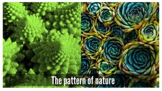 The pattern of nature
 