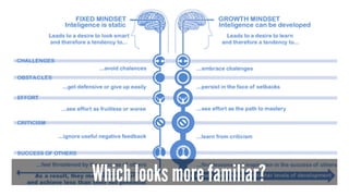 Which looks more familiar?
 