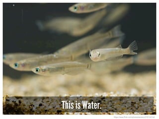 This is Water.
https://www.flickr.com/photos/seotaro/2101165162
 