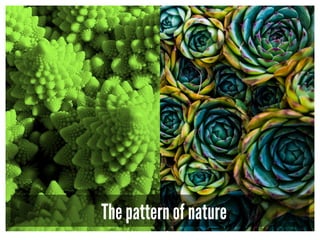 The pattern of nature
 