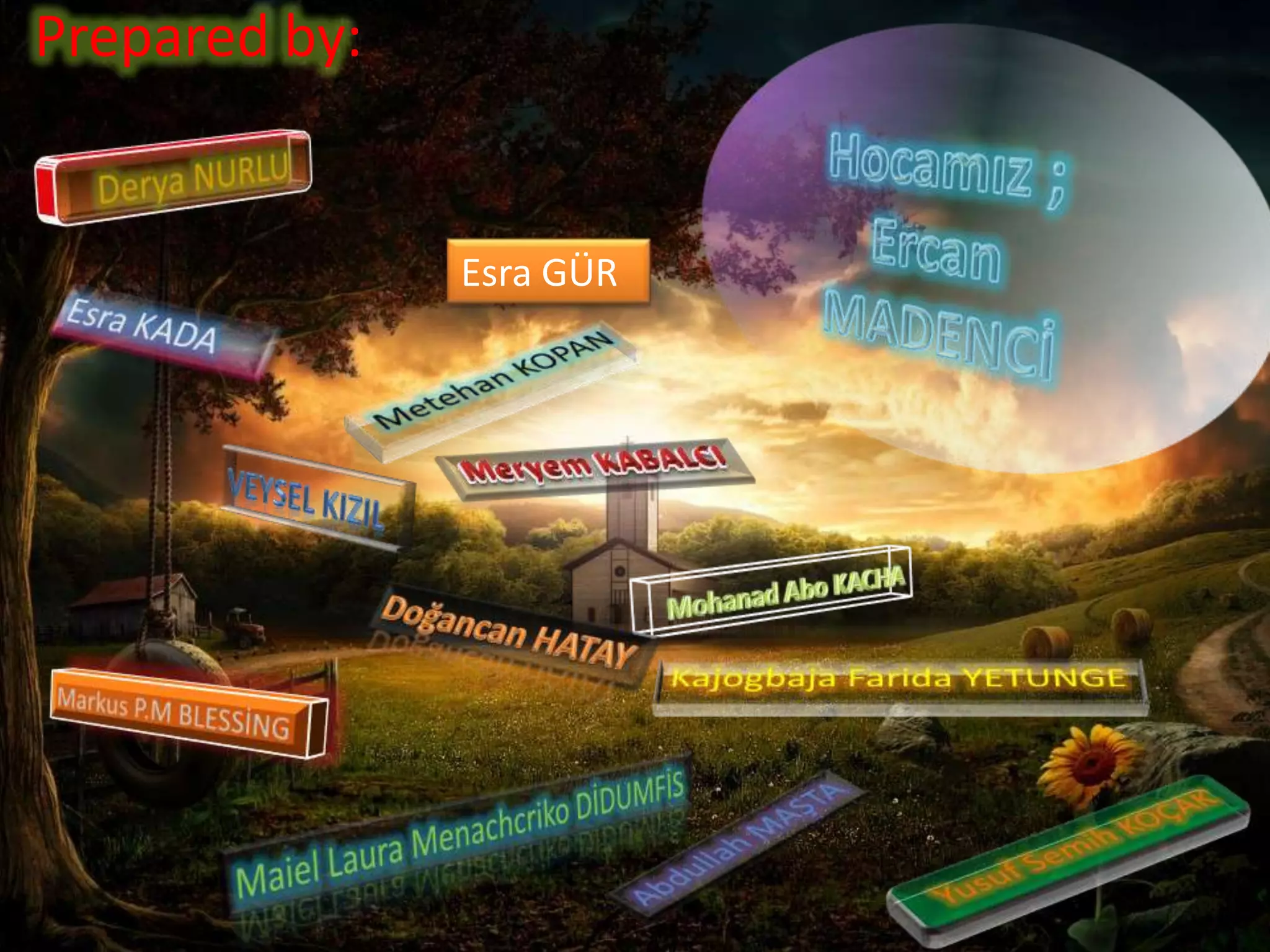 Prepared by:
Esra GÜR