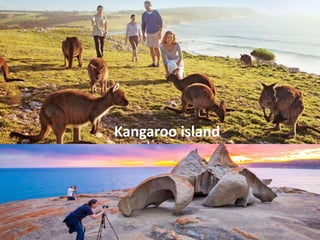Kangaroo island