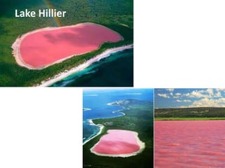 Lake Hillier