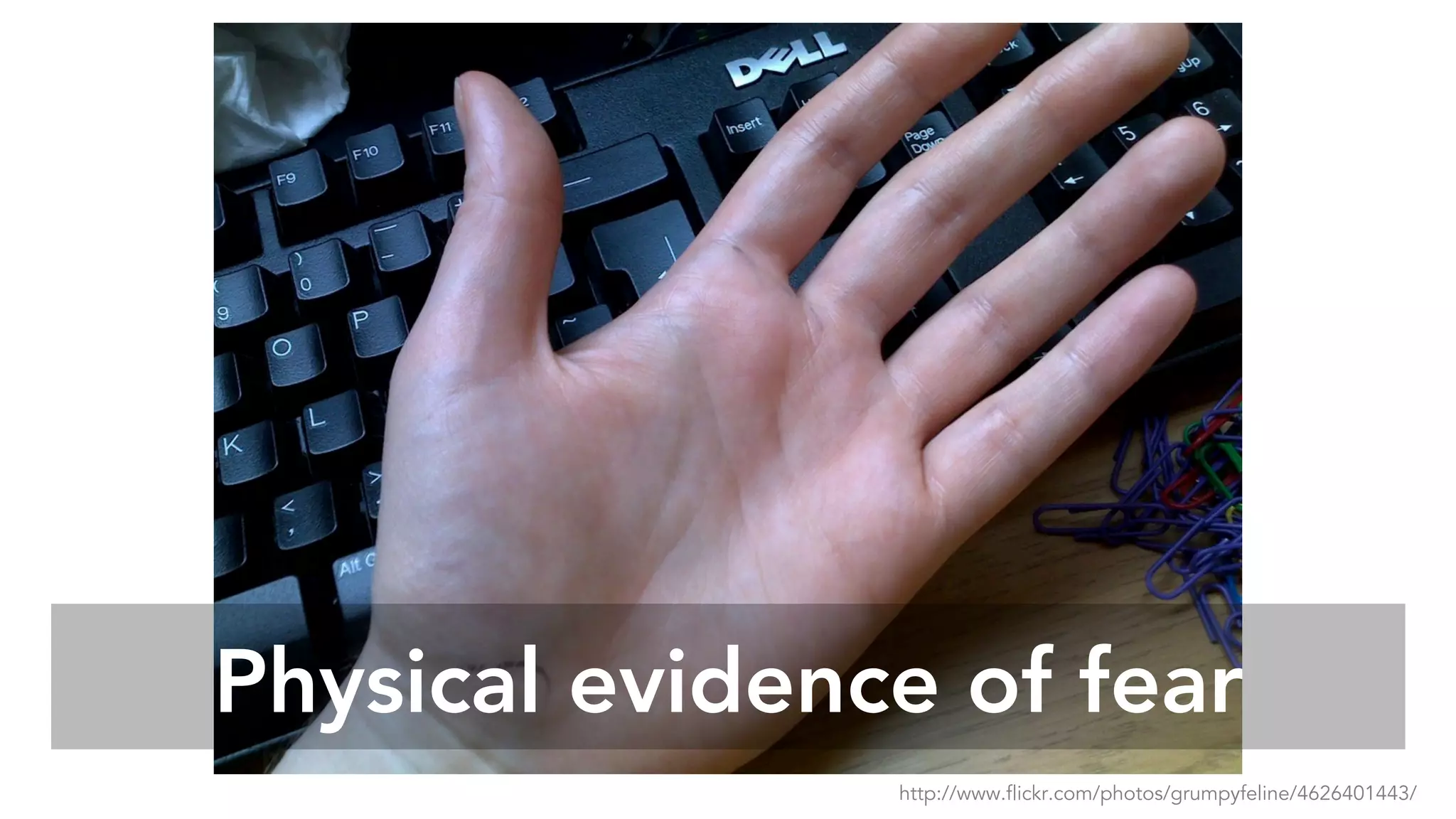 Physical evidence of fear
http://www.flickr.com/photos/grumpyfeline/4626401443/
 