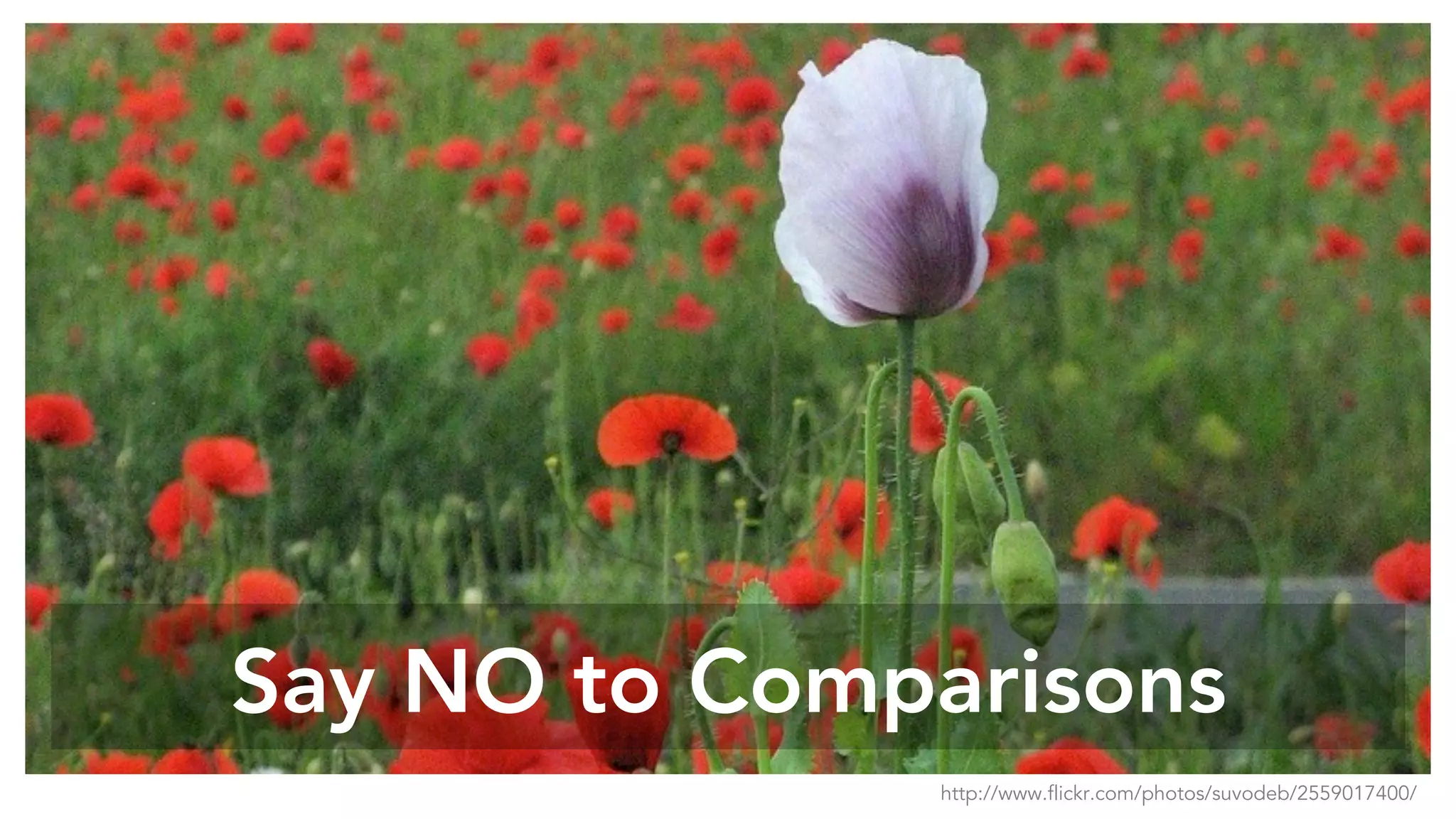 Say NO to Comparisons
http://www.flickr.com/photos/suvodeb/2559017400/
 