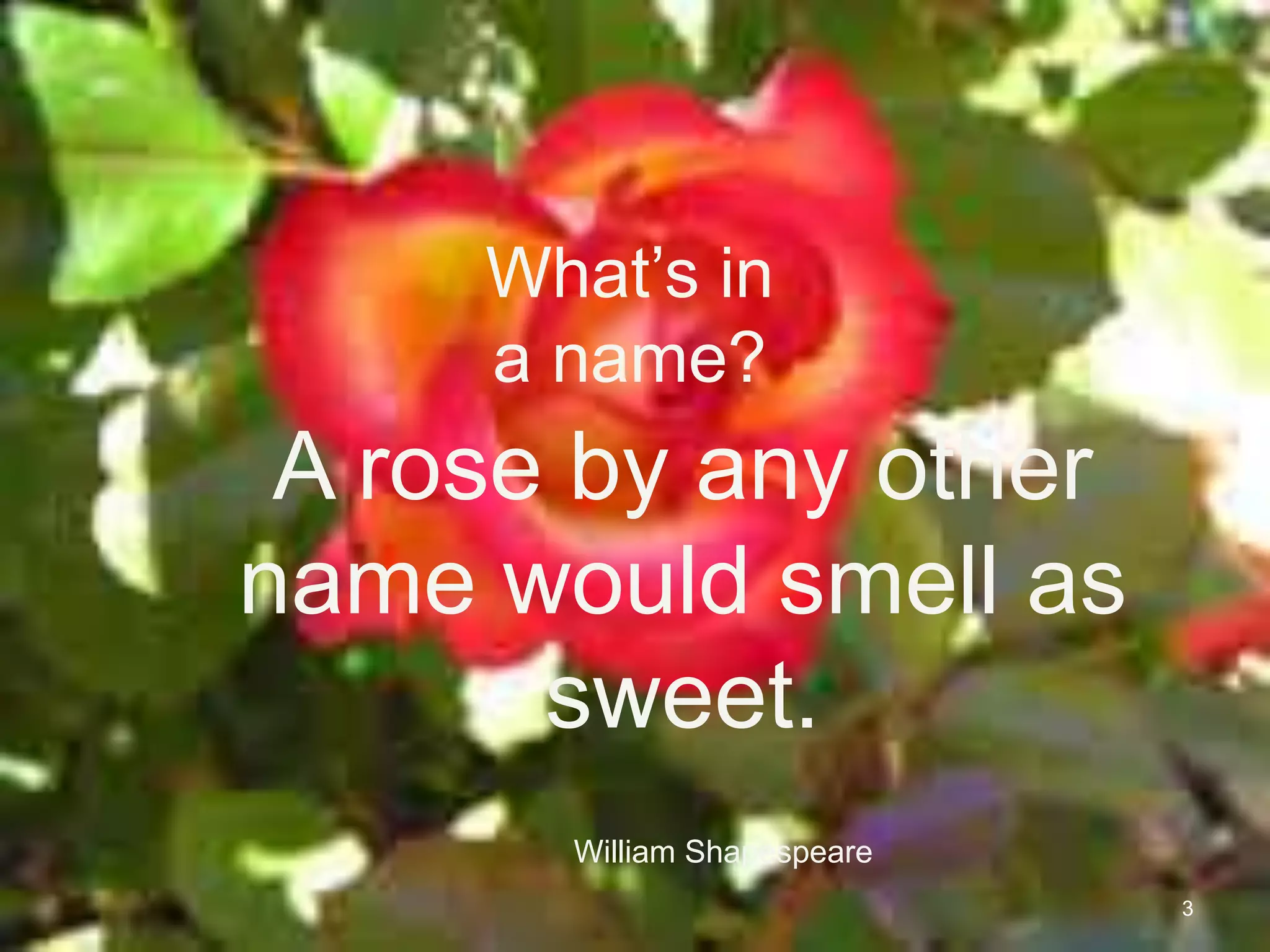 What’s in
     a name?
 A rose by any other
name would smell as
       sweet.
       William Shapespeare
                                                    3
                             Supply Chain Insights, LLC © 2012
 