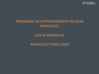 PROGRAMA DE ENTRENAMIENTO INCUBAR
MANIZALES
LUIS M JARAMILLO
WWW.EFECTERNET.COM
 