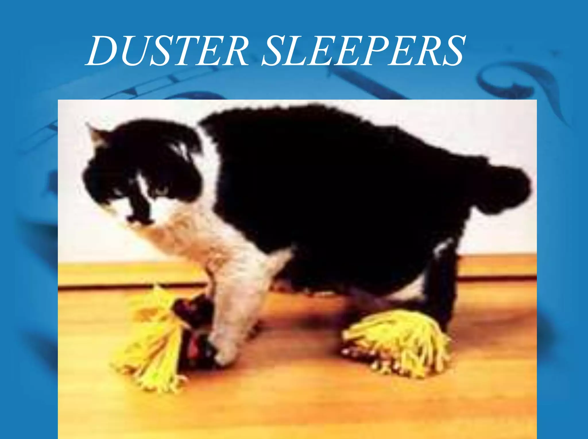 DUSTER SLEEPERS