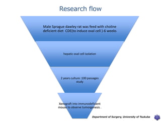 Male Sprague dawley rat was feed with choline
deficient diet CDE(to induce oval cell )-6 weeks
hepatic oval cell isolation
2 years culture :100 passages
study
Xenograft into immunodeficient
mouse to observe tumorgenesis .
Department of Surgery, University of Tsukuba
Research flow
 