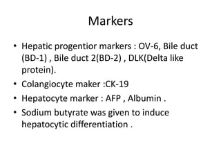 Markers
• Hepatic progentior markers : OV-6, Bile duct
(BD-1) , Bile duct 2(BD-2) , DLK(Delta like
protein).
• Colangiocyte maker :CK-19
• Hepatocyte marker : AFP , Albumin .
• Sodium butyrate was given to induce
hepatocytic differentiation .
 