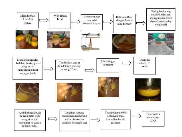 Presentation Isolasi Dna