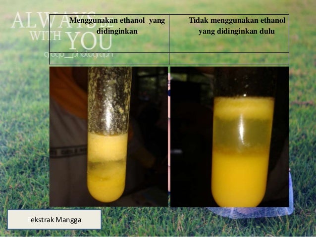 Presentation Isolasi Dna