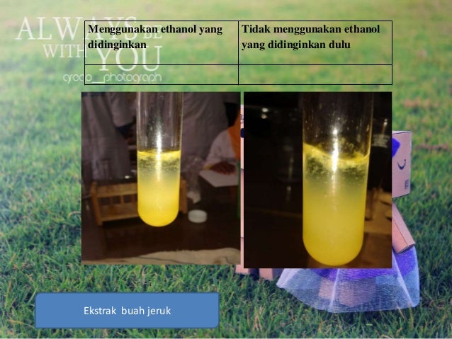 Presentation Isolasi Dna