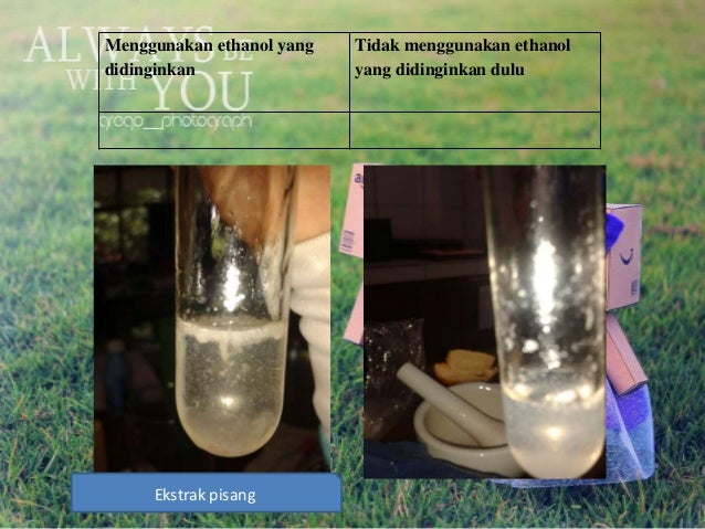 Presentation Isolasi Dna