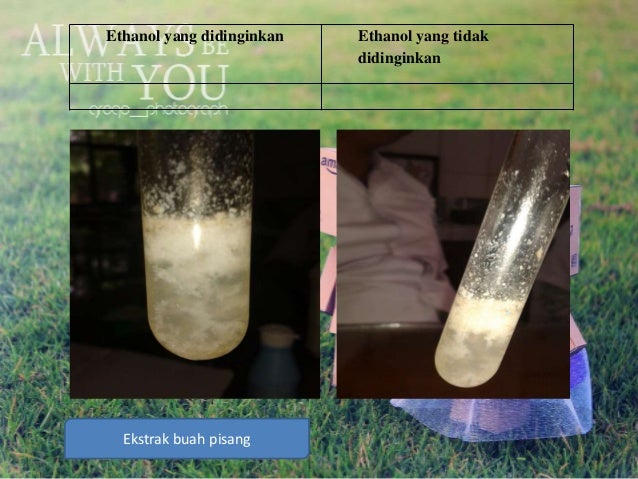 Presentation Isolasi Dna