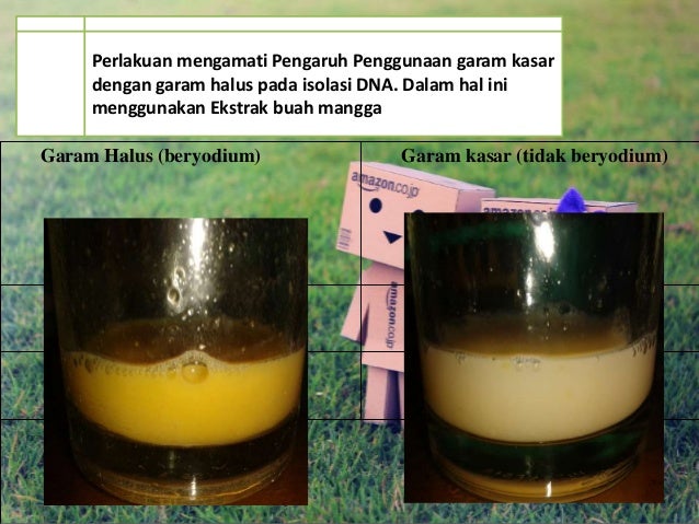 Presentation Isolasi Dna