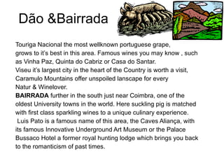 Dão &Bairrada Touriga Nacional the most wellknown portuguese grape,  grows to it’s best in this area. Famous wines you may know , such as Vinha Paz, Quinta do Cabriz or Casa do Santar.  Viseu it’s largest city in the heart of the Country is worth a visit,  Caramulo Mountains offer unspoiled lanscape for every  Natur & Winelover. BAIRRADA  further in the south just near Coimbra, one of the oldest University towns in the world. Here suckling pig is matched with first class sparkling wines to a unique culinary experience. Luis Pato is a famous name of this area, the Caves Aliança, with its famous Innovative Underground Art Museum or the Palace Bussaco Hotel a former royal hunting lodge which brings you back to the romanticism of past times.  
