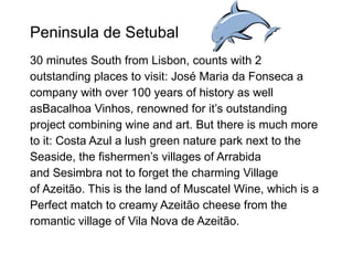 Peninsula de Setubal  30 minutes South from Lisbon, counts with 2 outstanding places to visit: José Maria da Fonseca a company with over 100 years of history as well asBacalhoa Vinhos, renowned for it’s outstanding project combining wine and art. But there is much more to it: Costa Azul a lush green nature park next to the Seaside, the fishermen’s villages of Arrabida and Sesimbra not to forget the charming Village of Azeitão. This is the land of Muscatel Wine, which is a  Perfect match to creamy Azeitão cheese from the romantic village of Vila Nova de Azeitão.  